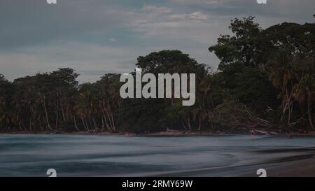 Belle jungle des caraïbes plage avec beau surf à proximité de Playa Cocles et Puerto Viejo au Costa rica. Vue vers les arbres. mer brumeuse et spray. Banque D'Images