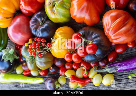 Tomates héritées colorées sur fond rustique gris Banque D'Images