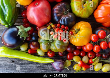 Tomates héritées colorées sur fond rustique gris Banque D'Images
