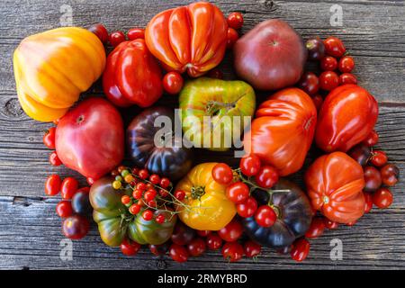 Tomates héritées colorées sur fond rustique gris Banque D'Images