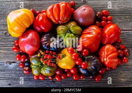 Tomates héritées colorées sur fond rustique gris Banque D'Images