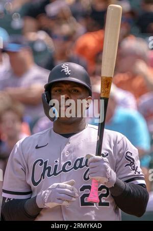 Baltimore, États-Unis. 30 août 2023. BALTIMORE, MD - 30 AOÛT : Oscar Colas (22), le joueur de terrain droit des White Sox de Chicago, à l'assiette lors d'un match de MLB entre les Orioles de Baltimore et les White Sox de Chicago, le 30 août 2023, à Orioles Park à Camden yards, à Baltimore, Maryland. (Photo de Tony Quinn/SipaUSA) crédit : SIPA USA/Alamy Live News Banque D'Images