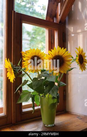 de beaux grands tournesols jaunes se tiennent dans un vase sur un rebord de fenêtre en bois près de la fenêtre Banque D'Images