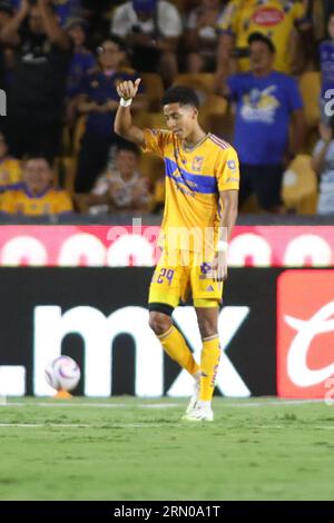 Monterrey, Mexique. 30 août 2023. 26 août 2023 ; Monterrey, Nuevo LeÃ³n, Mexique; Liga MX 2023 Apertura Fitth match entre UANL Tigres et Santos Laguna à EstÃ¡dio UniversitÃ¡rio. Marquer le premier but des Tigres #29 attaquant Tigres, Ozziel Herrera crédit obligatoire : Toby Tande/PXImages (crédit image : © Torbjorn Tande/PX Imagens via ZUMA Press Wire) À USAGE ÉDITORIAL SEULEMENT! Non destiné à UN USAGE commercial ! Banque D'Images