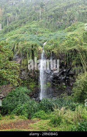 Cascade de la Reunion voile de la mariée Banque D'Images