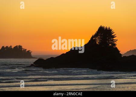 Cox Bay Beach au coucher du soleil avec des silhouettes de gens sur Sunset point, Tofino, Île de Vancouver, Colombie-Britannique, Canada. Banque D'Images