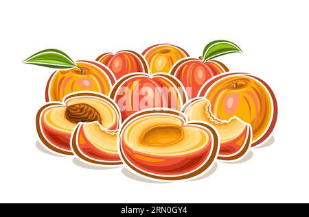 Logo vectoriel pour Peaches, affiche horizontale décorative avec dessin animé composition de nature morte fruitée de pêche, impression de fruits avec tria entier et haché Illustration de Vecteur