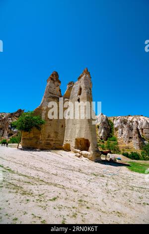 Cheminées de fées ou peri bacalari en Cappadoce. Visitez Cappadoce photo de fond vertical. Banque D'Images