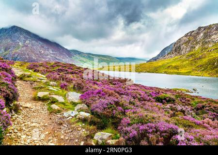 Lac Llyn Idwal le long de la piste jusqu'au sommet de Glyder Fawr et à la montagne de Pen yr Ole Wen, MCG Idwal, parc national de Snowdonia, pays de Galles, Royaume-Uni Banque D'Images