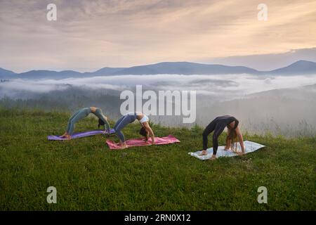 Groupe de trois femmes sportives en vêtements actifs faisant des exercices d'étirement parmi les montagnes d'été. Les femmes de fitness s'entraînent ensemble à l'air frais. Banque D'Images