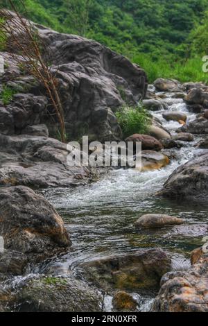 Embrassez la beauté sereine d'une rivière ornée d'arbres verts imposants et d'un ciel bleu doux et nuageux, une scène de tranquillité de la nature. Banque D'Images