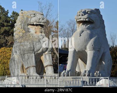 Photo combinée prise le 4 décembre 2014 montre deux lions de pierre sans nettoyage (L) et avec nettoyage après avoir été érodés par des bactéries biologiques au mausolée de Qianling, un site touristique dans la ville de Xianyang, dans le nord-est de la province du Shaanxi. Certaines sculptures en pierre du site ont été érodées par des bactéries biologiques. Savoir s'il faut éliminer les bactéries biologiques est encore une question controversée, car la nouvelle apparence des sculptures peut avoir un impact sur le sens des reliques culturelles de l'histoire. Le mausolée de Qianling est la double tombe de Li Zhi, empereur de la dynastie Tang (618-907), et de son épouse, l'impératrice Wu Zetian. Wu Zetian l'était Banque D'Images