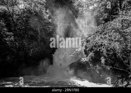 Lumière du soleil sur une cascade sauvage à Monochrome - gorge de Vintgar, Slovénie Banque D'Images