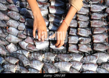 (150106) -- BANGKOK, le 6 janvier 2015 -- Un vendeur prépare du poisson à sécher dans le district de Bang Bo près de Bangkok, Thaïlande, le 6 janvier 2015.) THAÏLANDE-BANGKOK-VENDEUR DE POISSON RachenxSageamsak PUBLICATIONxNOTxINxCHN Bangkok Jan 6 2015 un vendeur prépare du poisson à sécher DANS le district de Bang Bo près de Bangkok Thai Country Jan 6 2015 Thai Country Bangkok vendeur de poisson PUBLICATIONxNOTxINxCHN Banque D'Images