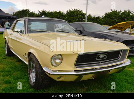 Ford Mustang des années 1960 voiture jaune rétro rétro spectacle Shine Day Out, Melbourne Victoria Banque D'Images