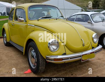 Volkswagen VW Beetle Yellow Vintage Retro Show Shine Day Out, Melbourne Victoria Banque D'Images