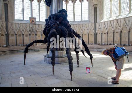 L. Nicola Turner - l'invité non invité du passé inconnu à Wells Art Contemporary (WAC), la cathédrale de Wells, à Wells Somerset Banque D'Images