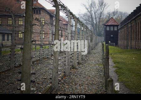 (150127) -- BRUXELLES, 27 janvier 2015 -- la photo prise le 9 novembre 2012 montre la clôture en fil de fer barbelé de l'ancien camp de concentration d'Auschwitz à Oswiecim, en Pologne. Les célébrations du 70e anniversaire de la libération du camp de concentration d'Auschwitz ont commencé mardi matin dans la ville d'Oswiecim, dans le sud de la Pologne. Le camp de concentration a été fondé en 1940 par les Allemands principalement dans le but d'emprisonner les prisonniers polonais. Depuis 1942, il est devenu l'un des plus grands lieux d'extermination juive en Europe, avec plus de 1,1 millions de morts, y compris des Polonais, des Roumains, des prisonniers soviétiques et d'autres Banque D'Images