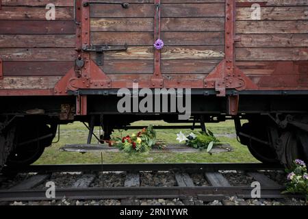 (150127) -- BRUXELLES, 27 janvier 2015 -- la photo prise le 9 novembre 2012 montre un suiveur posé pour commémorer les victimes de l'ancien camp de concentration d'Auschwitz à Oswiecim, en Pologne. Les célébrations du 70e anniversaire de la libération du camp de concentration d'Auschwitz ont commencé mardi matin dans la ville d'Oswiecim, dans le sud de la Pologne. Le camp de concentration a été fondé en 1940 par les Allemands principalement dans le but d'emprisonner les prisonniers polonais. Depuis 1942, il est devenu l'un des plus grands lieux d'extermination juive en Europe, avec plus de 1,1 millions de morts, y compris les Polonais, Roumains, capt soviétique Banque D'Images