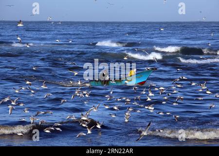 (150202) -- ALEXANDRIE, 2 février 2015 -- les pêcheurs pêchent en Méditerranée par la ville de pêcheurs El Max à Alexandrie, en Égypte, le 31 janvier 2015. La ville de pêcheurs connue sous le nom de Venise en Egypte est située près de la ville côtière méditerranéenne Alexandrie, et les pêcheurs ici vivent de la pêche d'une génération à l'autre.) ÉGYPTE-ALEXANDRIA-FISH-EL MAX-FEATURE AHMEDXGOMAA PUBLICATIONXNOTXINXCHN Banque D'Images