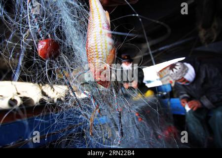 (150202) -- ALEXANDRIE, le 2 février 2015 -- Un pêcheur ramasse du poisson de son filet à la ville de pêcheurs El Max à Alexandrie, en Égypte, le 31 janvier 2015. La ville de pêcheurs connue sous le nom de Venise en Egypte est située près de la ville côtière méditerranéenne Alexandrie, et les pêcheurs ici vivent de la pêche d'une génération à l'autre.) EGYPTE-ALEXANDRIA-FISH-EL MAX-FEATURE AhmedxGomaa PUBLICATIONxNOTxINxCHN Alexandrie février 2 2015 un pêcheur ramasse du poisson de son filet À la ville de Fisher El Max à Alexandrie Egypte LE 31 2015 janvier la ville de Fisher connue sous le nom de Venise en Egypte EST située près de la ville côtière méditerranéenne Alexand Banque D'Images