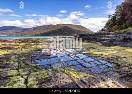 Le pavé tessellé sur la péninsule de Tasman, Tasmanie, Australie. Cette merveille naturelle rare est nommée d'après les roches siltstone carrelées le long du Banque D'Images