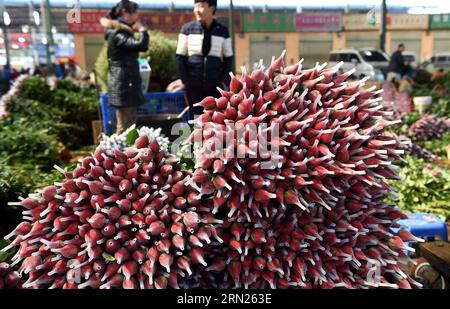 (150212) -- KUNMING, 12 février 2015 -- des roses rouges sont empilées sur un marché aux fleurs à Kunming, capitale de la province du Yunnan du sud-ouest de la Chine, le 12 février 2015. Alors que la Saint-Valentin et la fête traditionnelle chinoise du printemps approchent, de grandes quantités de fleurs fraîches ont été mises sur le marché dans le Yunnan, la base de production et d'exportation de fleurs fraîches de la Chine. Actuellement, le Yunnan produit plus de sept milliards de fleurs par an, revendiquant plus de 70 pour cent du marché parmi les grandes et moyennes villes de Chine. (Wyo) CHINA-YUNNAN-KUNMING-FLOWERS (CN) LinxYiguang PUBLICATIONxNOTxINxCHN Kunming février 12 2015 Rose rouge Banque D'Images