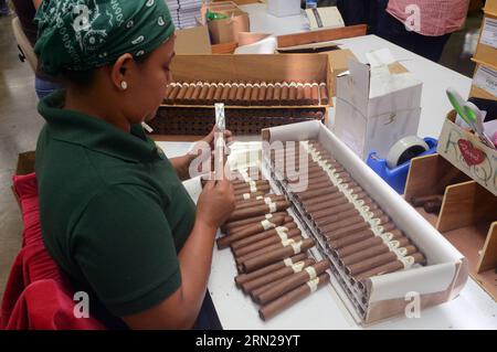 (150219) -- SANTIAGO, le 19 février 2015 -- Une femme emballe des cigares dans une usine de cigares d'exportation à Villa Gonzalez, province de Santiago, République dominicaine, le 19 février 2015. Le tabac est le principal produit agro-exporté en République Dominicaine et la province de Santiago mène sa production dans le pays. Les recettes d'exportation du tabac représentent les 7,5 pour cent du total des exportations dominicaines, et les produits du tabac impliquent les 8,5 pour cent des recettes fiscales provenant des taxes sur les marchandises. La chaîne de production de tabac génère 110 000 emplois directs et soutient quelque 350 000 personnes, selon la République dominicaine Banque D'Images