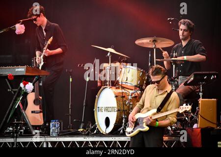 The Vaccines en concert au Hardwick Festival, août 2023. Crédit : James Hind/Alamy stock photo. Banque D'Images