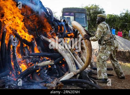 (150303) -- NAIROBI, le 3 mars 2015 -- Un garde forestier armé kenyan met le feu à un ivoire à Nairobi, au Kenya, le 3 mars 2015. Mardi, le président kenyan Uhuru Kenyatta a incendié 15 tonnes d'ivoire de contrebande et a promis d'intensifier la guerre en cours contre les crimes contre les espèces sauvages dans le pays. Selon le Programme des Nations Unies pour l’environnement (PNUE), l’Afrique abritait environ 500 000 30 000 éléphants, mais en perdait chaque année à cause du braconnage. PAN Siwei) KENYA-NAIROBI-CONTREBANDE DE L'IVOIRE PanxSixWei PUBLICATIONxNOTxINxCHN Nairobi Mars 3 2015 un Ranger armé kenyan met le feu à l'ivoire à Nairobi Ke Banque D'Images