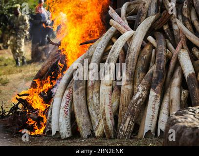 (150303) -- NAIROBI, le 3 mars 2015 -- une photo prise le 3 mars 2015 montre le site de combustion d'ivoire de contrebande à Nairobi, au Kenya. Mardi, le président kenyan Uhuru Kenyatta a incendié 15 tonnes d'ivoire de contrebande et a promis d'intensifier la guerre en cours contre les crimes contre les espèces sauvages dans le pays. Selon le Programme des Nations Unies pour l’environnement (PNUE), l’Afrique abritait environ 500 000 30 000 éléphants, mais en perdait chaque année à cause du braconnage. PAN Siwei) KENYA-NAIROBI-CONTREBANDE IVORY-BURNING PanxSixWei PUBLICATIONxNOTxINxCHN Nairobi Mars 3 2015 la photo prise LE 3 2015 mars montre le site de Burni Banque D'Images