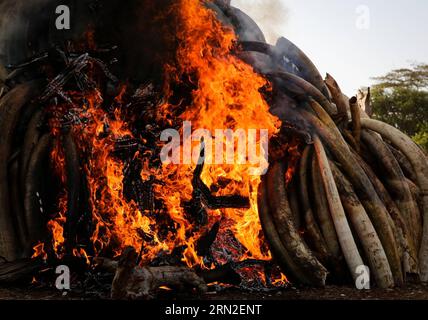 (150303) -- NAIROBI, le 3 mars 2015 -- une photo prise le 3 mars 2015 montre le site de combustion d'ivoire de contrebande à Nairobi, au Kenya. Mardi, le président kenyan Uhuru Kenyatta a incendié 15 tonnes d'ivoire de contrebande et a promis d'intensifier la guerre en cours contre les crimes contre les espèces sauvages dans le pays. Selon le Programme des Nations Unies pour l’environnement (PNUE), l’Afrique abritait environ 500 000 30 000 éléphants, mais en perdait chaque année à cause du braconnage. PAN Siwei) KENYA-NAIROBI-CONTREBANDE IVORY-BURNING PanxSixWei PUBLICATIONxNOTxINxCHN Nairobi Mars 3 2015 la photo prise LE 3 2015 mars montre le site de Burni Banque D'Images