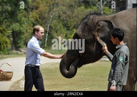 (150304) -- XISHUANGBANNA, le 4 mars 2015 -- le Prince William de Grande-Bretagne visite la base asiatique de protection et de reproduction des éléphants dans la région autonome de Xishuangbanna Dai, dans le sud-ouest de la province du Yunnan, le 4 mars 2015.) (lfj) CHINA-YUNNAN-BRITAIN S PRINCE WILLIAM-VISIT (CN) HuxChao PUBLICATIONxNOTxINxCHN Xishuangbanna Mars 4 2015 Grande-Bretagne S Prince William visite la base de protection et d'élevage des éléphants d'Asie dans la région autonome de Xishuangbanna Dai Sud-Ouest Chine S Yunnan province du Yunnan Mars 4 2015 Chine Yunnan Grande-Bretagne S Prince William visite CN PUBLICATIONxNOTxINXxINXXXXXINXNot Banque D'Images