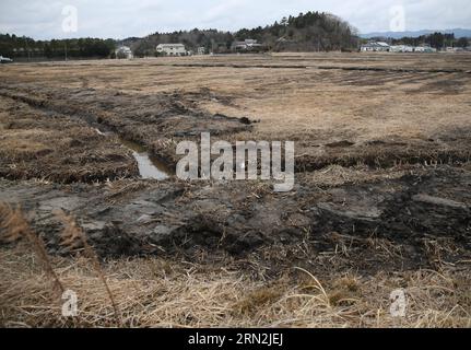 (150310) -- FUKUSHIMA, le 10 mars 2015 -- des champs et des maisons endommagés ont été vus dans le district de Futaba, situé bien dans le rayon d'exclusion de 20 kilomètres autour des installations qui fuient de la centrale nucléaire de Fukushima Daiichi, dans la préfecture de Fukushima, Japon, le 7 mars 2015. Les scènes des villes et villages encore abandonnés quatre ans après un tsunami déclenché par un tremblement de terre ont violé les défenses de la centrale nucléaire de Fukushima Daiichi, constitueraient la toile de fond parfaite pour un film de zombies post-apocalyptique hollywoodien, mais le problème serait que les niveaux de rayonnement dans la région le feraient Banque D'Images