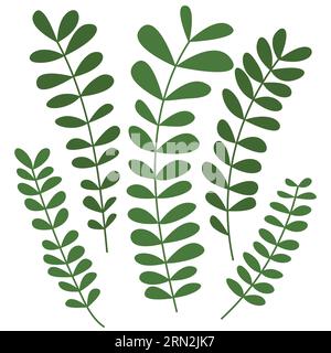 Rameaux avec feuilles Illustration de Vecteur