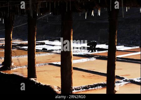 Un villageois travaille sur des marais salants dans le comté de Markam, dans la région autonome du Tibet du sud-ouest de la Chine, le 21 mars 2015. Le comté de Markam, avec de riches ressources en sel, a plus de 3 000 casseroles de sel pour évaporer la saumure au soleil avec une technique ancestrale depuis la dynastie Tang (618-907AD), qui est également la plus ancienne méthode de production de sel. Cette méthode d évaporation du sel a été inscrite comme l un des patrimoine culturel immatériel national de la Chine en 2009.) (Wyo) CHINE-TIBET-MARKAM-PRODUCTION DE SEL-MÉTHODE LA PLUS ANCIENNE (CN) WenxTao PUBLICATIONxNOTxINxCHN un village travaille SUR des marais salants dans le comté de Markam Sud-Ouest Chine Sud Tibet autonome Banque D'Images