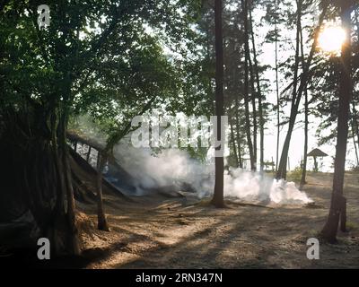 Fumée d'un feu de joie éteint dans la forêt près de la plage de sable, la lumière du soleil en arrière-plan comme rétro-éclairage avec une longue ombre d'arbres sur le sol, pour Banque D'Images