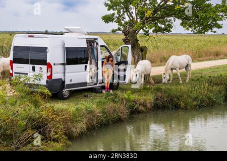 France, Gard, Vauvert, la petite Camargue, Rhône au Canal de Sète, camping-car entouré de chevaux blancs de camargue Banque D'Images