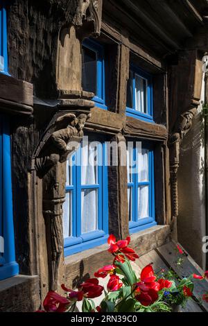 France, Yonne, Noyers sur Serein, labellisé les plus Beaux villages de France (les plus beaux villages de France), maison des guildes des métiers du cuir, poutres ornées de statuettes Banque D'Images