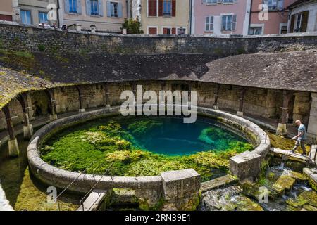 France, Yonne, Tonnerre, lavoir de la Fosse Dionne, bassin circulaire de 1758 créé sur une source karstique dite source Vaucluse Banque D'Images