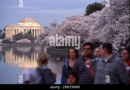 (150411) -- WASHINGTON D.C., -- les gens marchent le long des cerisiers près du Jefferson Memorial à Washington D.C., capitale des États-Unis, le 10 avril 2015. Les cerisiers en fleurs dans la capitale américaine sont à leur apogée. )(lmz) U.S.-WASHINGTON D.C.-CHERRY BLOSSOM YinxBogu PUBLICATIONxNOTxINxCHN Washington D C célébrités marchent le long des cerisiers près du Jefferson Memorial à Washington D C capitale des États-Unis avril 10 2015 les cerisiers Blossoms à U S Capital sont SUR leur pic Bloom U S Washington D C Cherry Blossom YinxBogu PUBLICATIONxNOTxINxCHN Banque D'Images