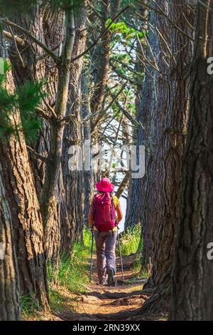 France, Morbihan, Belle Ile en Mer, le Palais, randonnée sur le GR® 340-Tour de Belle-Ile-en-Mer Banque D'Images