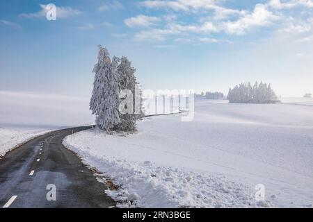 France, Tarn, Alban, route en hiver dans les Monts d'Alban Banque D'Images