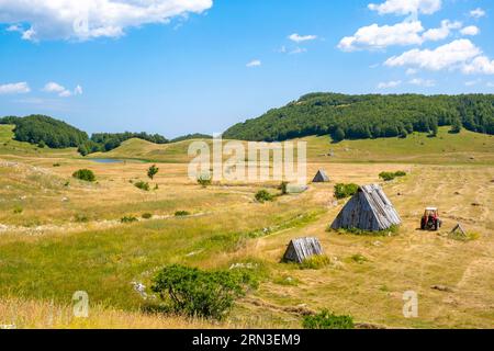 Monténégro, montagnes du Nord, Parc national de Durmitor, Zabljak Banque D'Images
