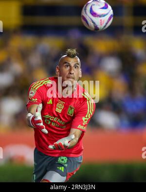 Monterrey, Mexique. 30 août 2023. 26 août 2023 ; Monterrey, Nuevo León, Mexique; Liga MX 2023 Apertura Fitth match entre UANL Tigres et Santos Laguna à Estádio Universitário. #1 gardien Tigres, Nahuel Guzmán crédit obligatoire : Toby Tande/PXImages crédit : PX Images/Alamy Live News Banque D'Images