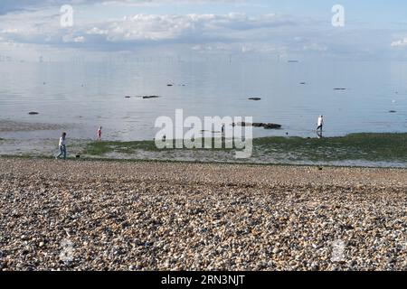 Herne Bay est une ville balnéaire sur la côte nord du Kent dans le sud-est de l'Angleterre Banque D'Images