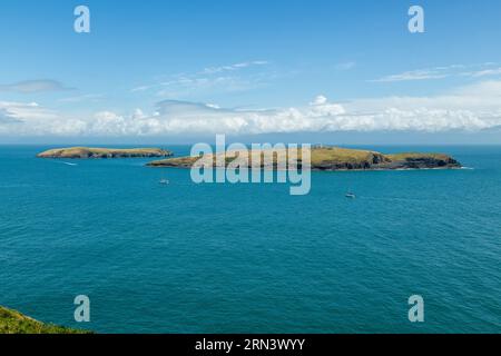 Marcher le chemin de la côte du pays de Galles près d'Abersoch avec les îles St Tudwall's Island West et St Tudwal Island East en arrière-plan Banque D'Images