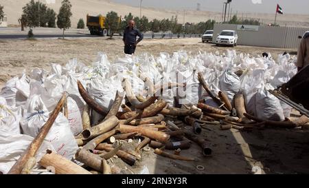 (150429) -- DUBAÏ, 29 avril 2015 -- une photo prise le 29 avril 2015 montre des ivoires saisis avant leur destruction dans le district d'Al Qusais, à Dubaï, aux Émirats arabes Unis. Le ministère de l'Environnement et de l'eau des Émirats arabes Unis (eau) a détruit mercredi plus de 10 tonnes d'ivoire brut et artisanal lors d'une cérémonie organisée par les médias dans le district d'Al Qusais. Émirats arabes Unis Émirats arabes UNIS Émirats arabes 29 2015 Unis Émirats arabes Unis Émirats arabes Unis Émirats arabes Unis Émirats arabes Unis Émirats arabes Unis Émirats arabes Unis Émirats arabes Unis Émirats arabes Unis Émirats arabes Unis Émirats arabes Unis Émirats arabes Unis Émirats arabes Unis Émirats arabes Unis Émirats arabes Unis Émirats arabes Unis Émirats arabes Unis Émirats arabes Unis Émirats arabes Unis Émirats arabes Unis Émirats arabes Unis Émirats arabes Unis Émirats arabes Unis Émirats arabes Unis eau 29 2015 Banque D'Images