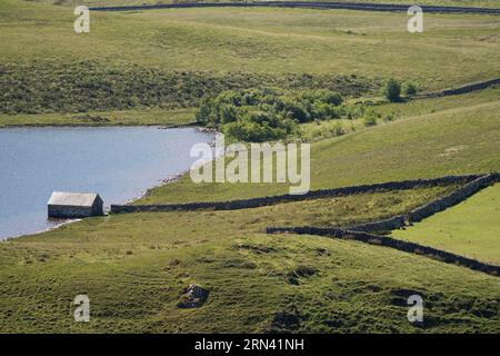 Cadair Idris et les terres agricoles environnantes vues de Pared y Cefn-hir, Llynnau Creggenen, Dolgellau, pays de Galles Banque D'Images