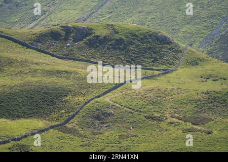Cadair Idris et les terres agricoles environnantes vues de Pared y Cefn-hir, Llynnau Creggenen, Dolgellau, pays de Galles Banque D'Images